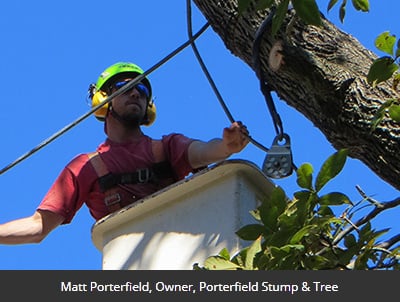 Logo for Porterfield Stump & Tree